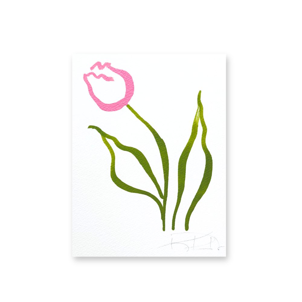Tulip in Pink