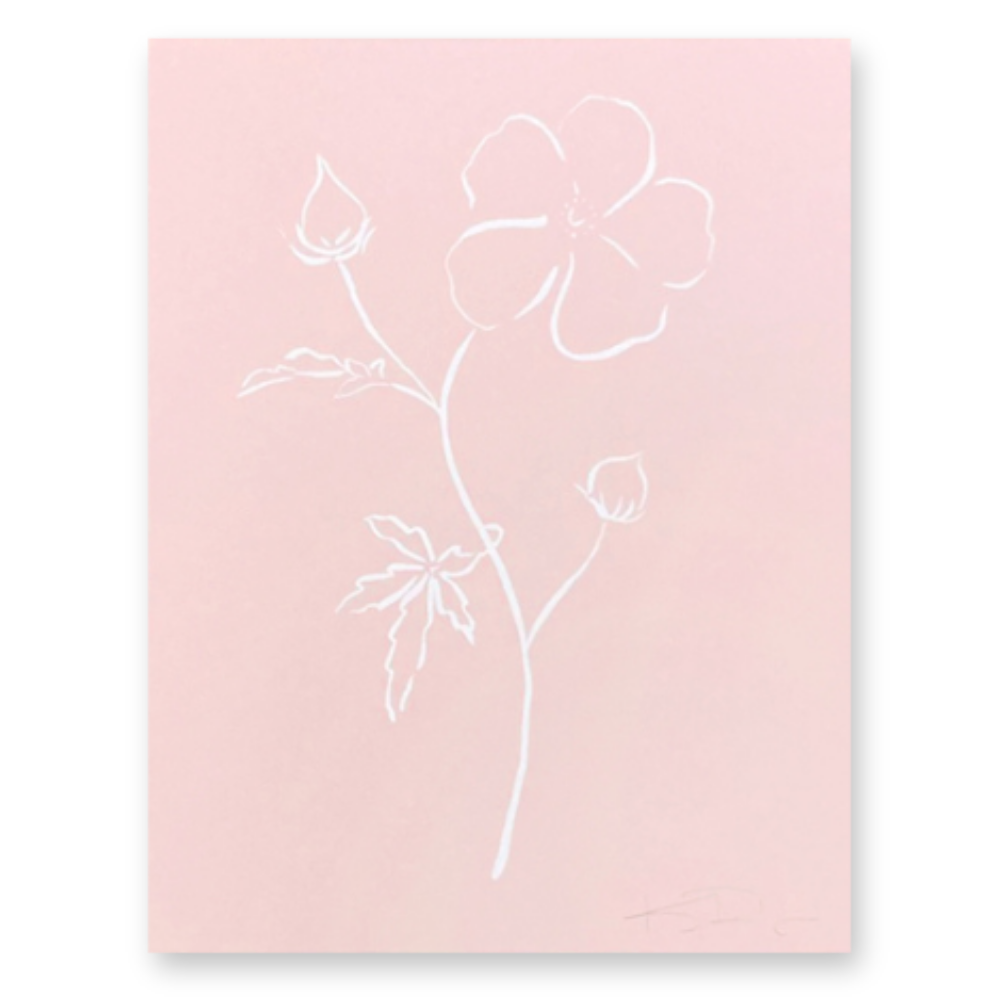 Botanicals No. 6  White on Pink