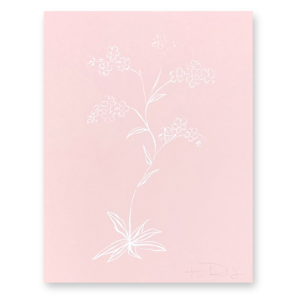 Botanicals No. 3  White on Pink
