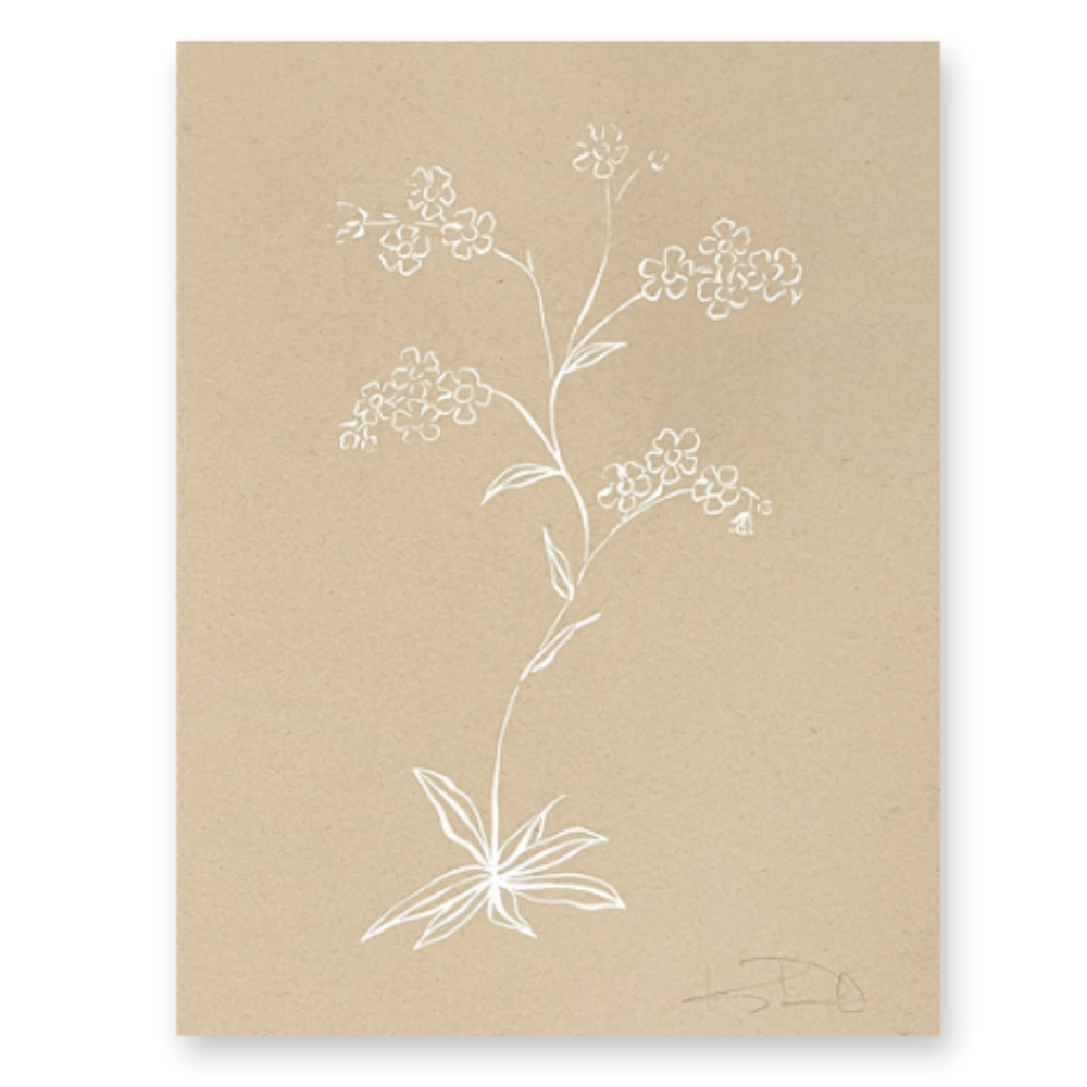 Botanicals No. 3 White on Tan