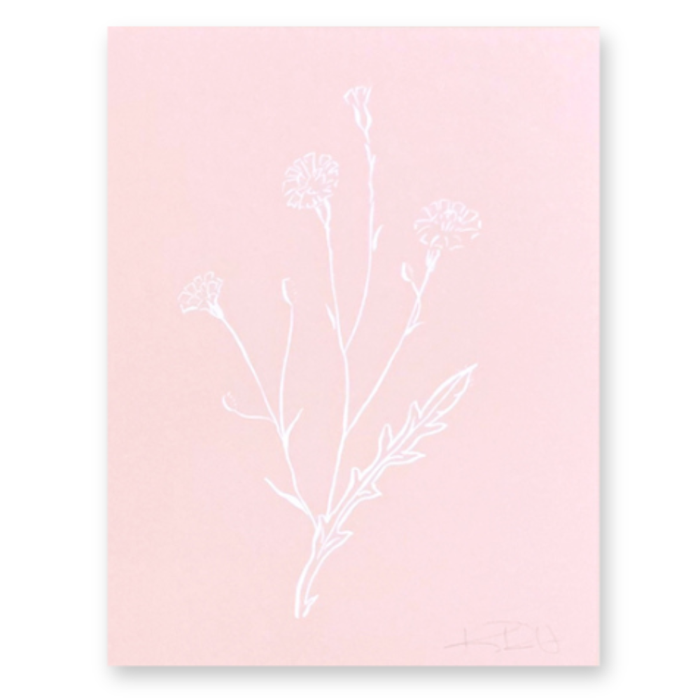 Botanicals No. 4  White on Pink