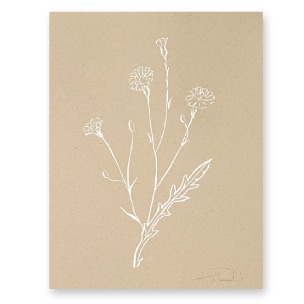 Botanicals No. 4 White on Tan
