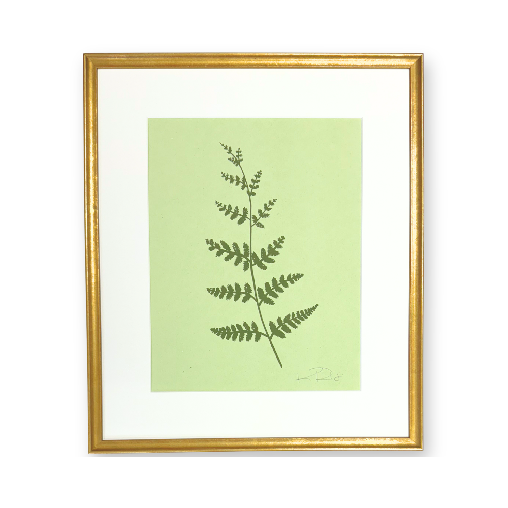 Ferns No. 1