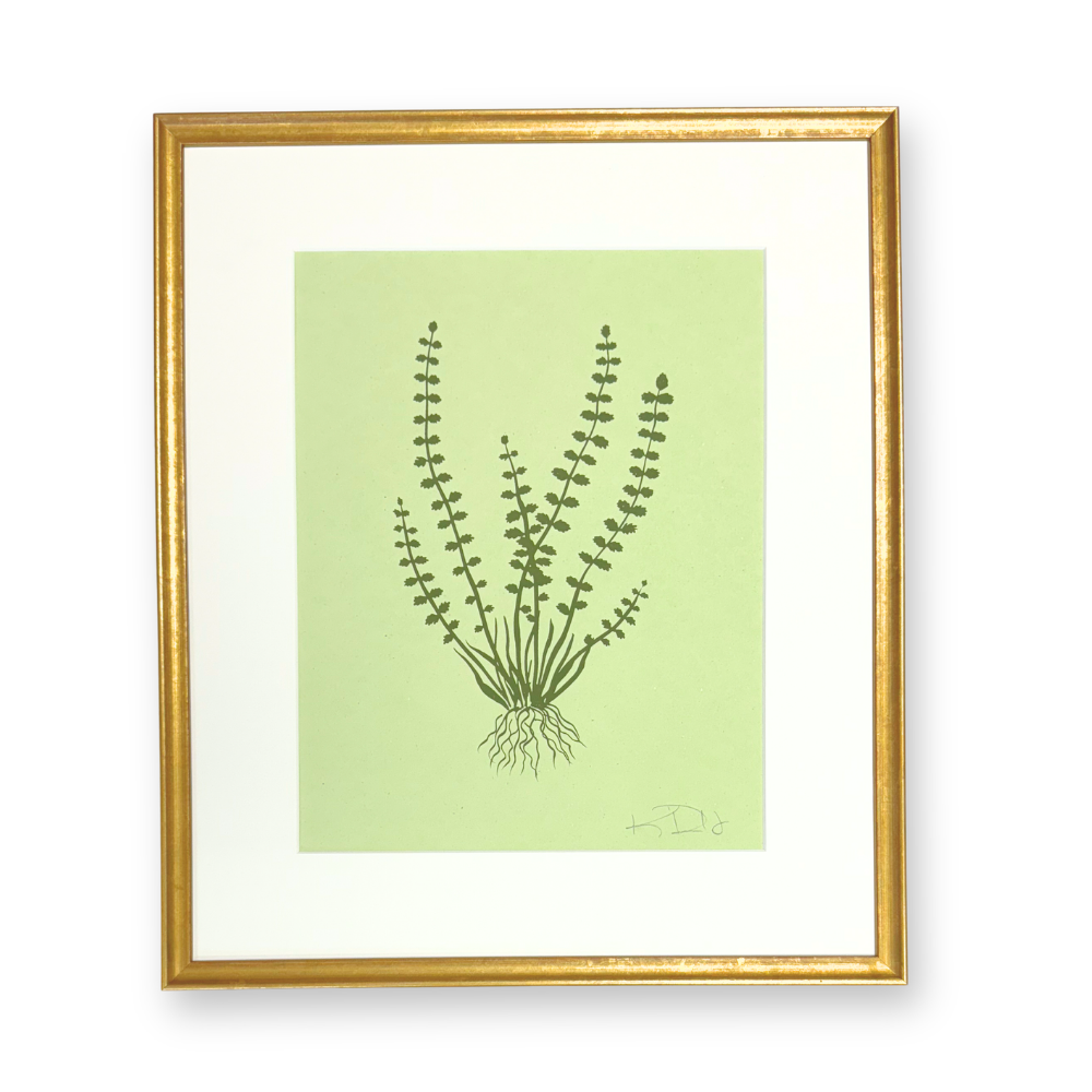 Ferns No. 2
