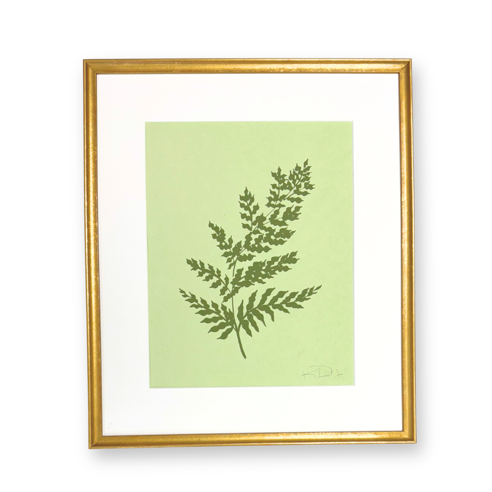 Ferns No. 3