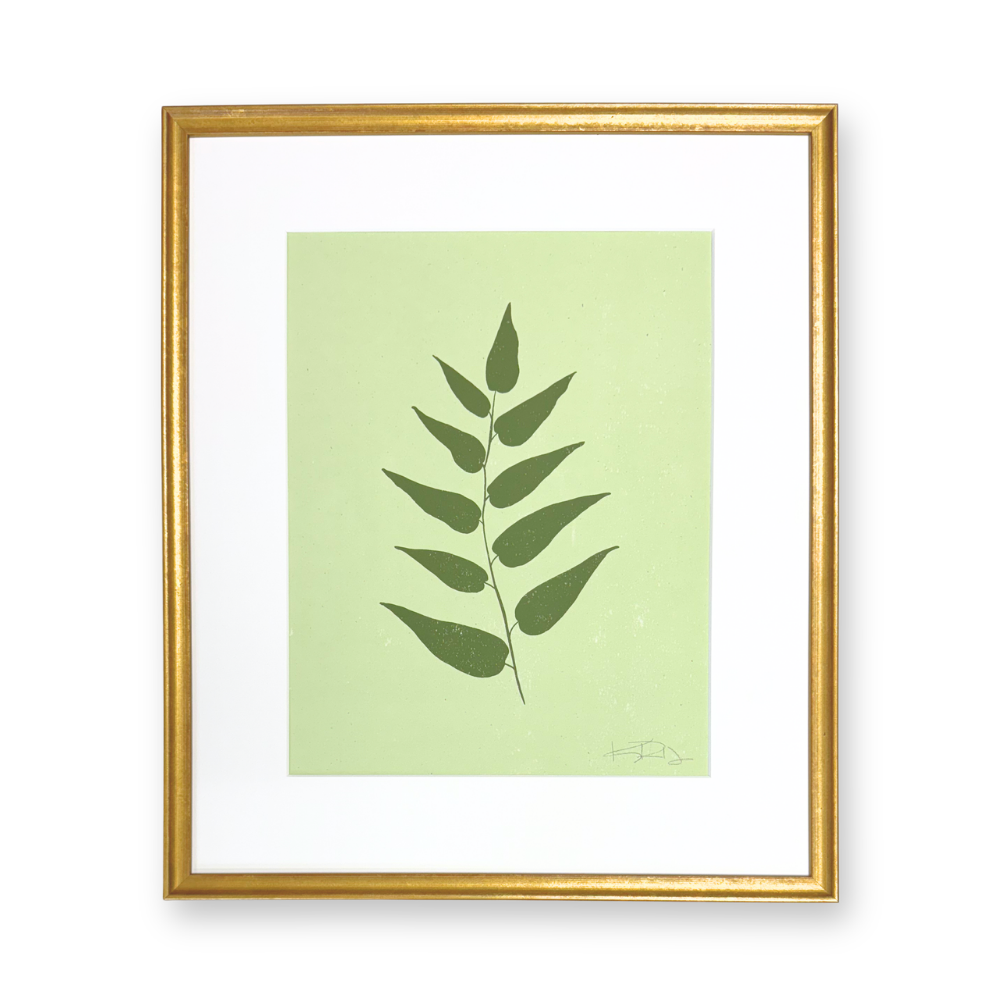 Ferns No. 4