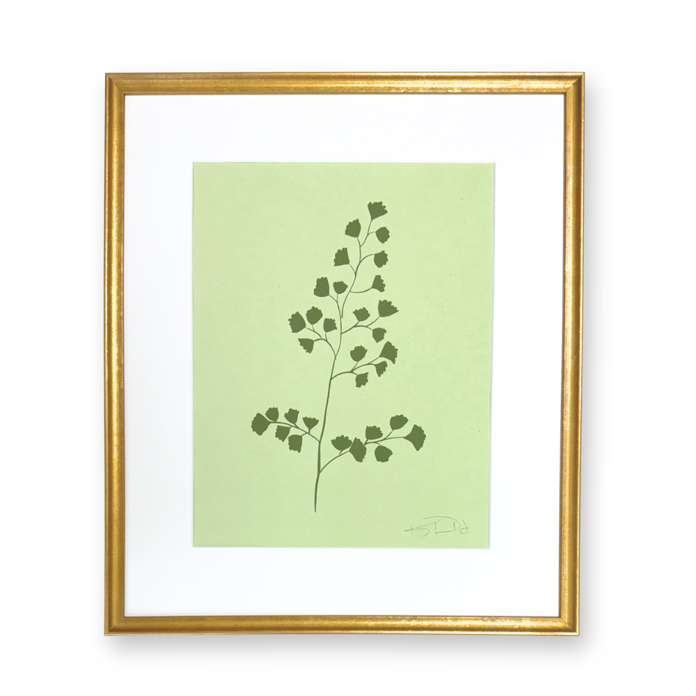 Ferns No. 5