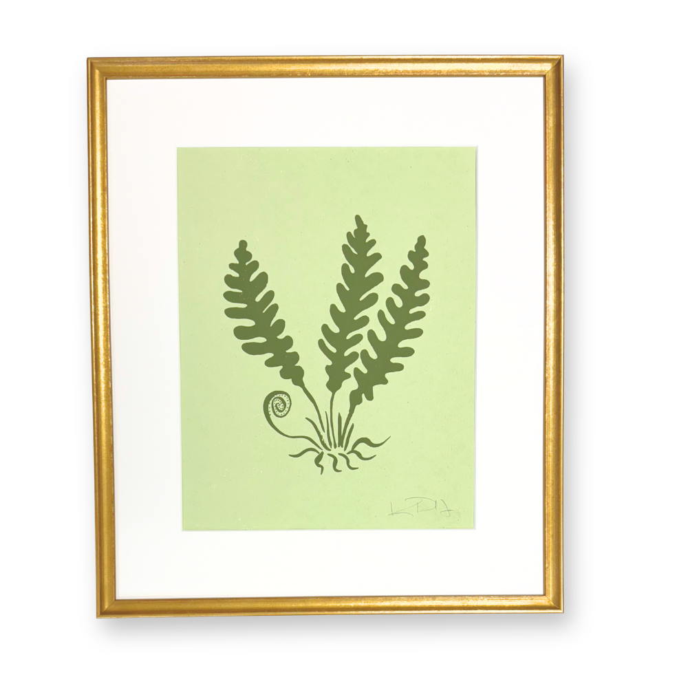 Ferns No. 6