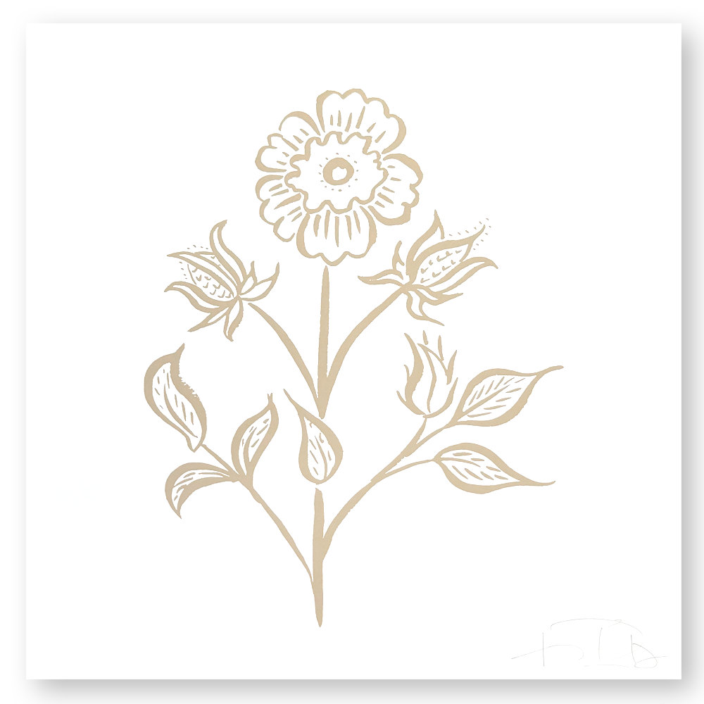 Bengal Botanical No. 5 in Tan on Soft White